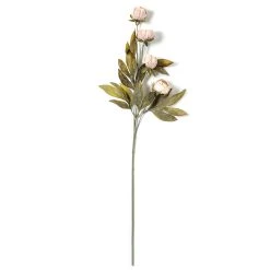 Deals 🤩 Tan Peony Stem by Ashland® 👏 -Ashland Sales 10679183 21