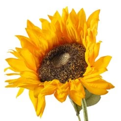 Discount 🤩 Gold Sunflower Stem by Ashland® 🌟 -Ashland Sales 10679186 20