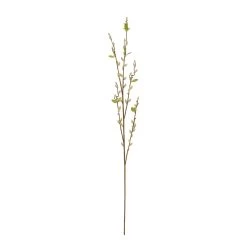 Cheapest 👍 16 Pack: Cream Willow Branch Stem by Ashland® 💯