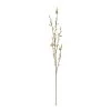 Hot Sale β Cream Willow Branch Stem by Ashland® π 1 Hot Sale β Cream Willow Branch Stem by Ashland® π -Ashland Sales 10679192 1