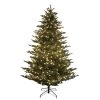 Budget 👏 7.5ft. Pre-Lit Fraser Fir Artificial 🎄 Christmas Tree, Clear Lights by Ashland® 🛒 -Ashland Sales 10694592 1