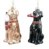 Discount 👏 Assorted 4" Glass Lab 🦮 Dog Ornament by Ashland® ❄ Christmas ⭐ -Ashland Sales 10697622 1