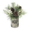 Budget 🔥 11.5" Pine, Berry & Snow Arrangement by Ashland® 👏 1 Budget 🔥 11.5" Pine, Berry & Snow Arrangement by Ashland® 👏 -Ashland Sales 10698889 1