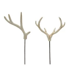Best Sale ❤️ Assorted Deer Antler Pick by Ashland® 😀