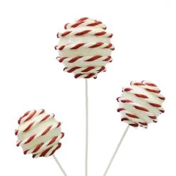 Coupon ✔️ White Twine Balls Pick by Ashland® 👍 -Ashland Sales 10699142 2