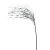 Budget 🔔 Silver Grass Pick by Ashland® ✨ -Ashland Sales 10699306 1