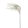 Buy ⌛ Champagne Grass Pick by Ashland® ✔️ 1 Buy ⌛ Champagne Grass Pick by Ashland® ✔️ -Ashland Sales 10699310 1