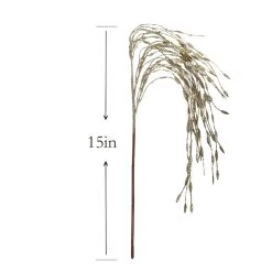 Buy ⌛ Champagne Grass Pick by Ashland® ✔️ -Ashland Sales 10699310 3