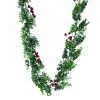 Best reviews of ๐ 6ft. Eucalyptus & Berry Garland by Ashland® ๐ฅฐ 2 Best reviews of ๐ 6ft. Eucalyptus & Berry Garland by Ashland® ๐ฅฐ -Ashland Sales 10699680 1