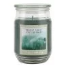 Deals ❤️ Midnight Forest Scented Jar Candle by Ashland® 🌟 -Ashland Sales 10699741 1