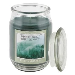 Deals ❤️ Midnight Forest Scented Jar Candle by Ashland® 🌟 -Ashland Sales 10699741 2