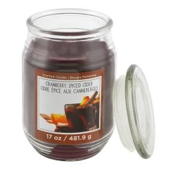 Brand new 👏 Cranberry Spiced Cider Scented Jar Candle by Ashland® ❤️ -Ashland Sales 10699752 2