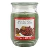 Discount ❤️ Holly Jolly Berry Scented Jar Candle by Ashland® 🎉 -Ashland Sales 10699755 1