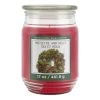 Brand new 🔥 Mistletoe & Holly Scented Candle Jar by Ashland® 🔔 1 Brand new 🔥 Mistletoe & Holly Scented Candle Jar by Ashland® 🔔 -Ashland Sales 10699761 1