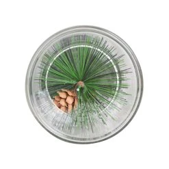 Best Pirce 🧨 6" Pine Leaf Glass Tealight Holder by Ashland® 🎁 -Ashland Sales 10699910 4