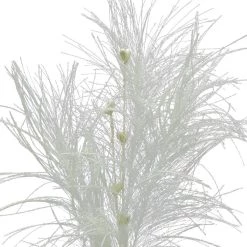 Flash Sale 😉 Assorted Pampas Grass & Pip Pick by Ashland® ❄ Christmas 🤩 -Ashland Sales 10700101 3