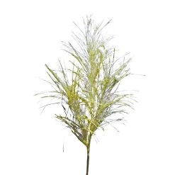 Flash Sale 😉 Assorted Pampas Grass & Pip Pick by Ashland® ❄ Christmas 🤩 -Ashland Sales 10700101 4