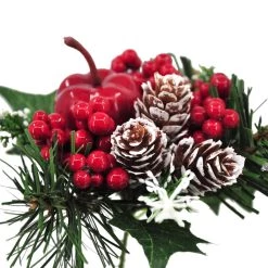 Top 10 🎁 Apple & Berry Pick by Ashland® 💯 -Ashland Sales 10700123 4