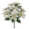 Cheap π Champagne Poinsettia Bush by Ashland® π 1 Cheap π Champagne Poinsettia Bush by Ashland® π -Ashland Sales 10700132 1