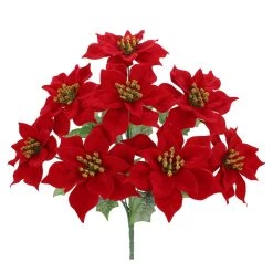 Cheap ✔️ Red Poinsettia Bush by Ashland® 😉 -Ashland Sales 10700135 2