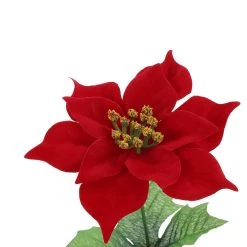 Cheap ✔️ Red Poinsettia Bush by Ashland® 😉 -Ashland Sales 10700135 3