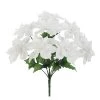 Flash Sale π White Poinsettia Bush by Ashland® π₯° 1 Flash Sale π White Poinsettia Bush by Ashland® π₯° -Ashland Sales 10700138 1