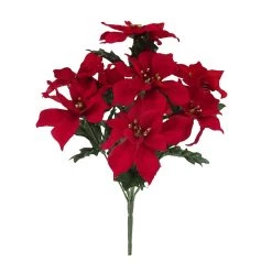 Cheap 💯 Crimson Poinsettia Bush by Ashland® 😍
