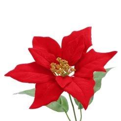 Best deal 😍 Red Poinsettia Bush by Ashland® ✔️ -Ashland Sales 10700144 3