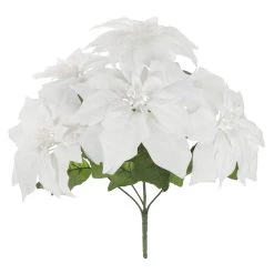 Brand new 🛒 White Poinsettia Bush by Ashland® 🎉