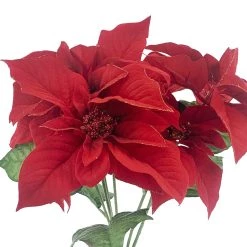 Outlet 🔔 Dark Red Poinsettia Bush by Ashland® 🔥 -Ashland Sales 10700150 2