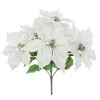 Best deal 💯 Cream Poinsettia Bush by Ashland® 🧨 1 Best deal 💯 Cream Poinsettia Bush by Ashland® 🧨 -Ashland Sales 10700152 1