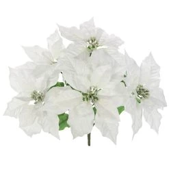 Best deal 💯 Cream Poinsettia Bush by Ashland® 🧨 -Ashland Sales 10700152 2