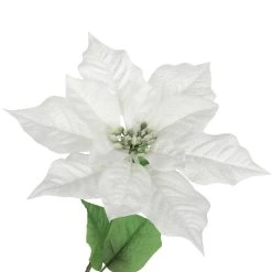 Best deal 💯 Cream Poinsettia Bush by Ashland® 🧨 -Ashland Sales 10700152 3