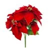 Best Pirce 🔥 Red Poinsettia Bush with Gold Edge by Ashland® ✨ -Ashland Sales 10700153 1