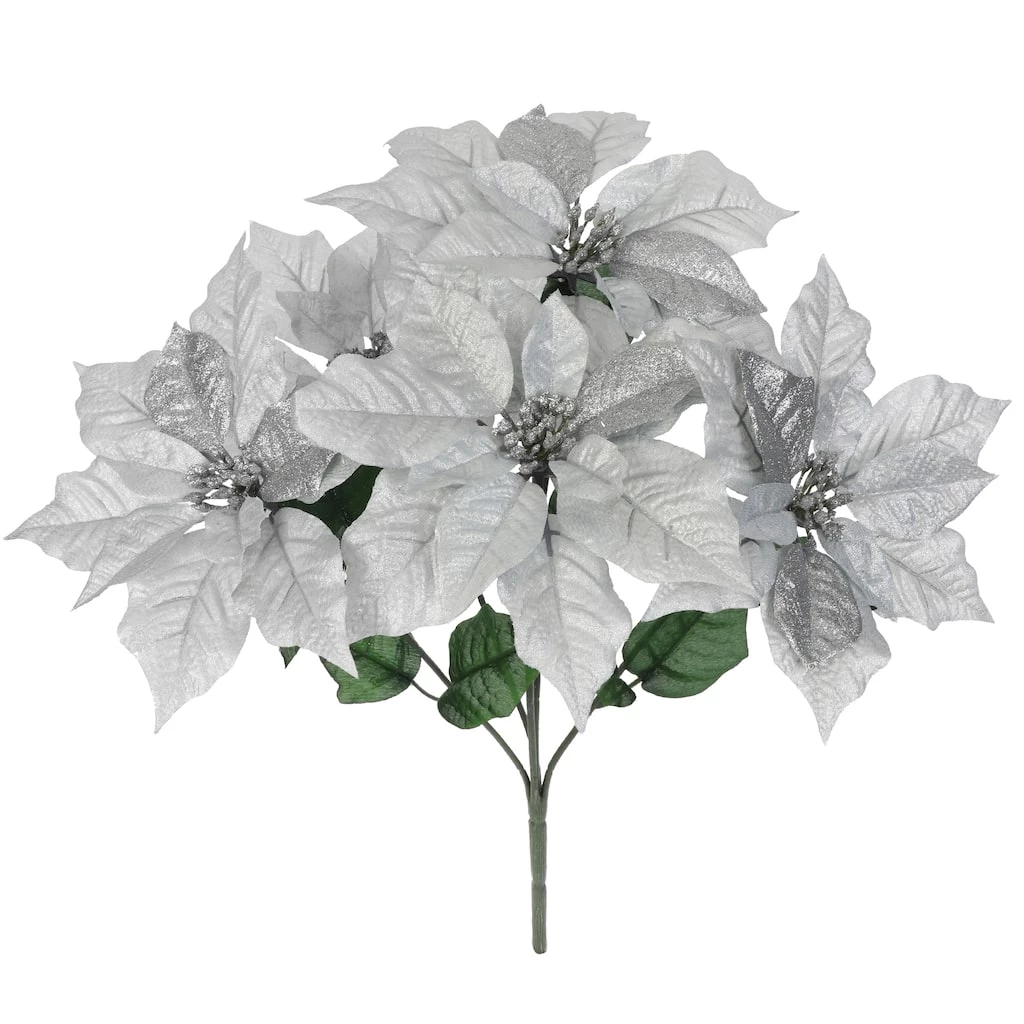 Best Pirce 🥰 Silver Poinsettia Bush by Ashland® 😀 3 Best Pirce 🥰 Silver Poinsettia Bush by Ashland® 😀