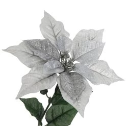 Best Pirce 🥰 Silver Poinsettia Bush by Ashland® 😀 6 Best Pirce 🥰 Silver Poinsettia Bush by Ashland® 😀 -Ashland Sales 10700157 3