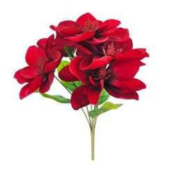 Best deal ⌛ Burgundy Magnolia Bush by Ashland® 🥰