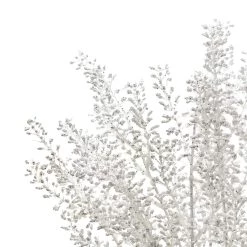 Budget 👏 White Berry Bush by Ashland® ⌛ -Ashland Sales 10700376 3