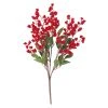 Discount 🤩 Red Berry Bush by Ashland® 😍 -Ashland Sales 10700380 1