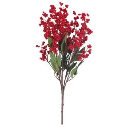 Discount 🤩 Red Berry Bush by Ashland® 😍 -Ashland Sales 10700380 3