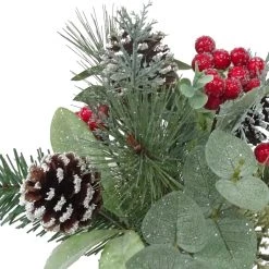 Budget 😀 Sugared Red Berry & Pinecone Mixed Bush by Ashland® ⌛ 5 Budget 😀 Sugared Red Berry & Pinecone Mixed Bush by Ashland® ⌛ -Ashland Sales 10700386 2