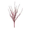 Buy ⌛ Red Twig Branch by Ashland® 🎉 -Ashland Sales 10700710 1