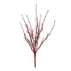 Buy ⌛ Red Twig Branch by Ashland® 🎉