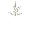 Top 10 ๐ White Berry Twig Stem by Ashland® ๐ 1 Top 10 ๐ White Berry Twig Stem by Ashland® ๐ -Ashland Sales 10700988 1