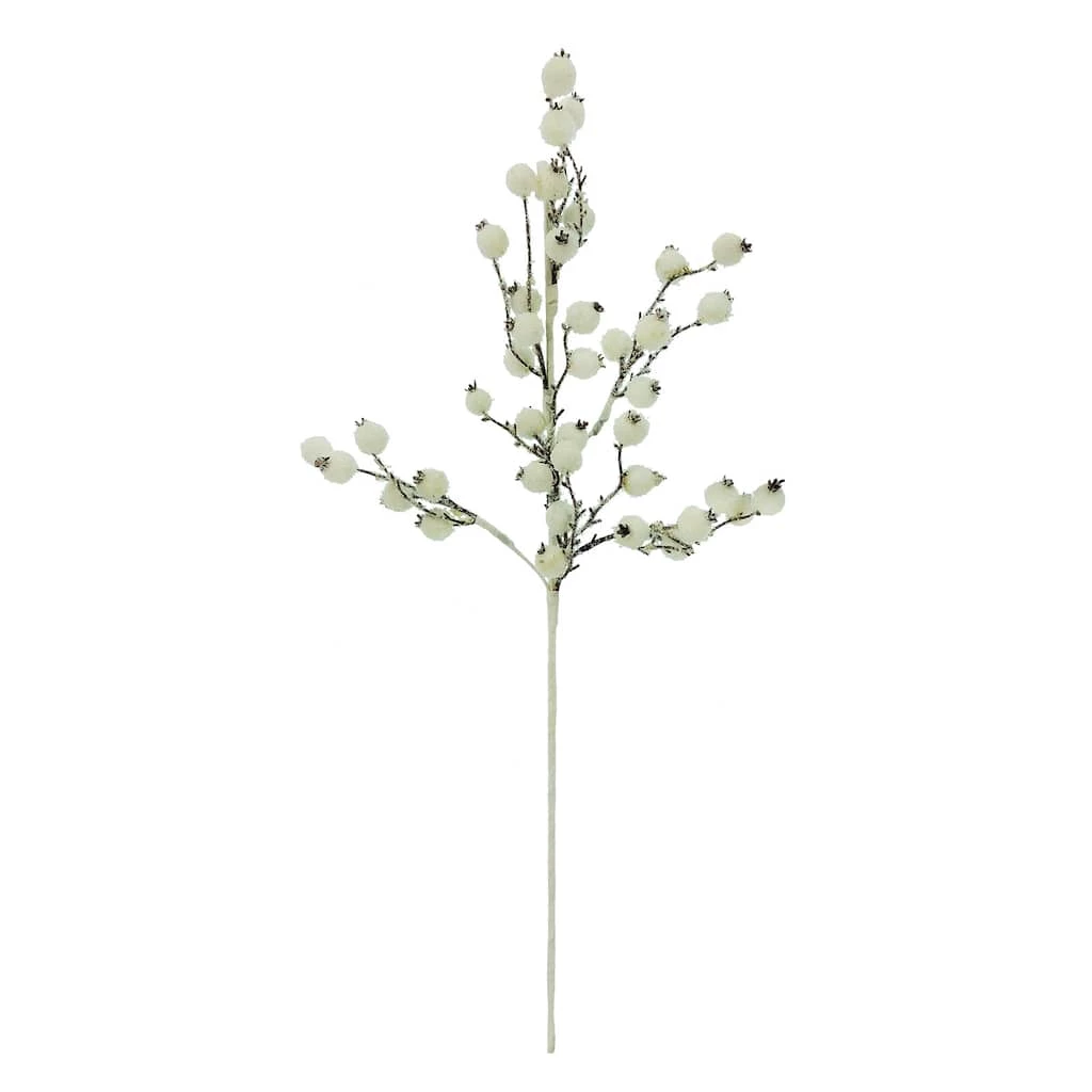 Top 10 🎁 White Berry Twig Stem by Ashland® 😉 3 Top 10 🎁 White Berry Twig Stem by Ashland® 😉