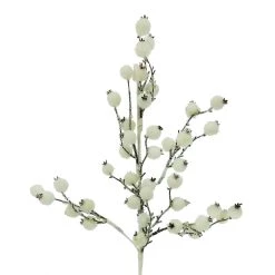 Top 10 🎁 White Berry Twig Stem by Ashland® 😉 5 Top 10 🎁 White Berry Twig Stem by Ashland® 😉 -Ashland Sales 10700988 2