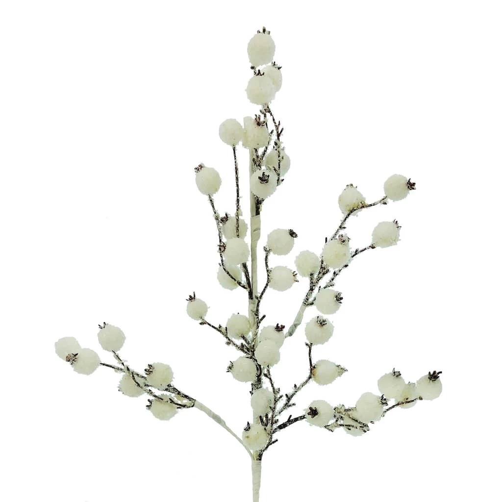 Top 10 🎁 White Berry Twig Stem by Ashland® 😉 4 Top 10 🎁 White Berry Twig Stem by Ashland® 😉 - Image 2