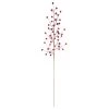 Buy ⌛ Dark Red Berry Stem by Ashland® 🔔 Christmas 🔥 -Ashland Sales 10700993 1