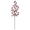 Budget 🧨 Iced Red Rose Berry Stem by Ashland® 🌟 -Ashland Sales 10700997 1