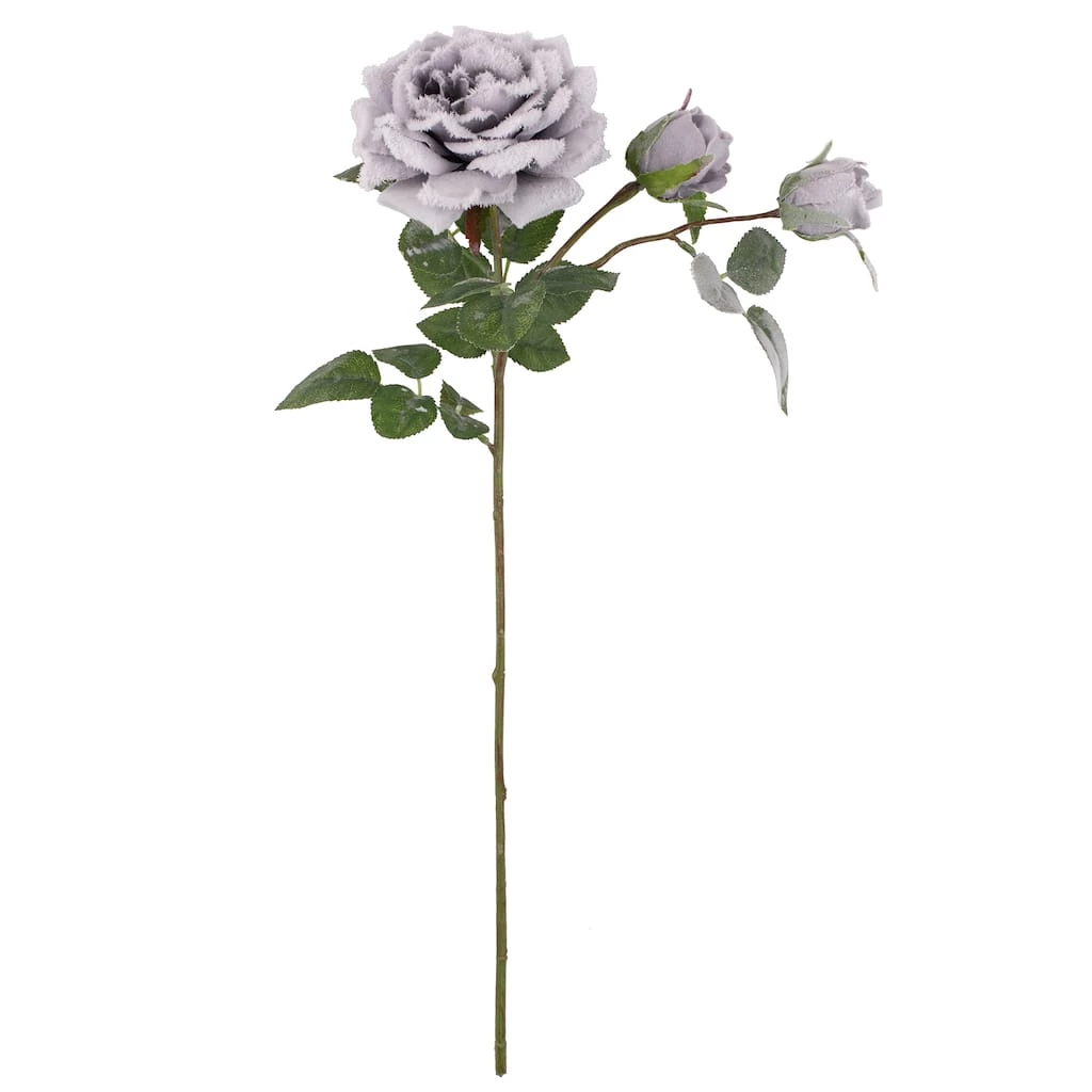 Promo 😉 Gray Snowy Rose Stem by Ashland® ✨ 3 Promo 😉 Gray Snowy Rose Stem by Ashland® ✨